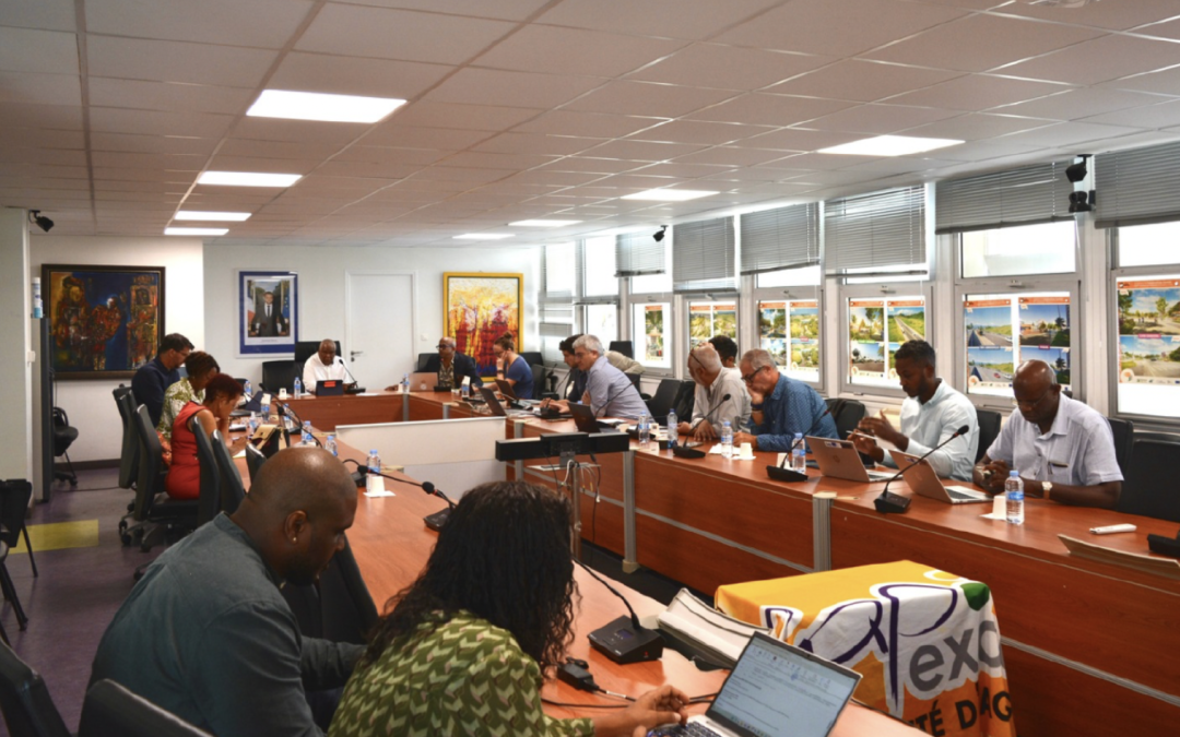 Projet TCPS Kéti : le 1er comité de pilotage de l&rsquo;année